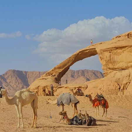 Wadi Rum Desert Camp Esterno foto