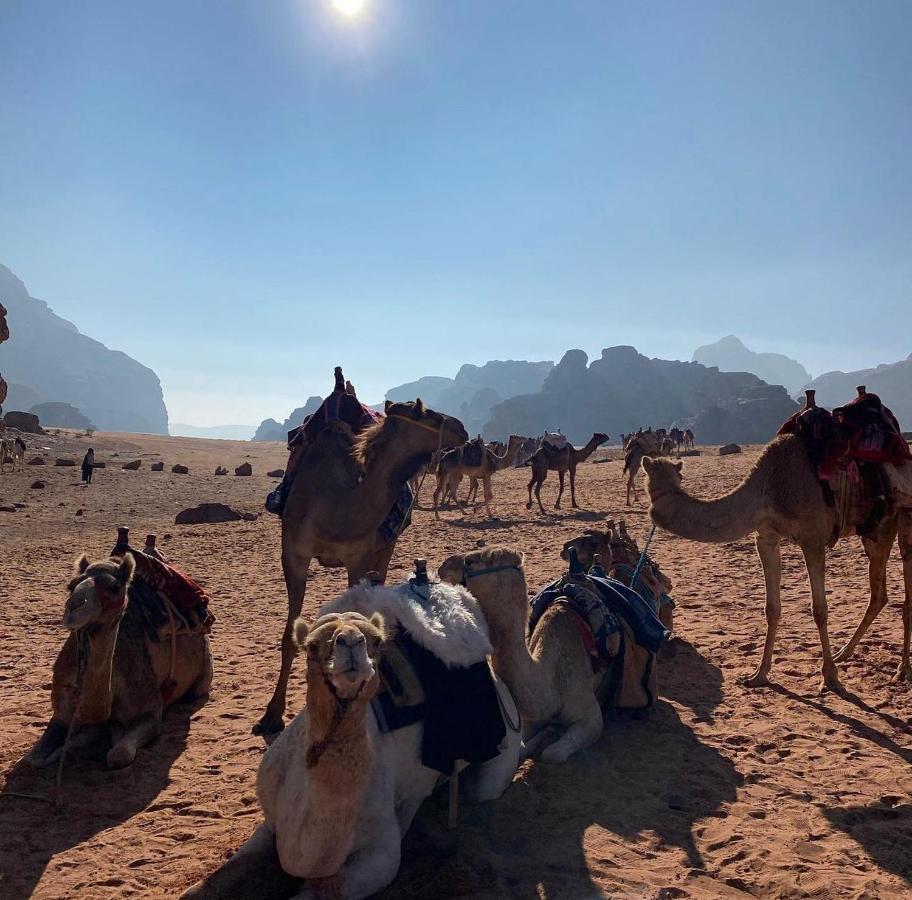 Wadi Rum Desert Camp Esterno foto